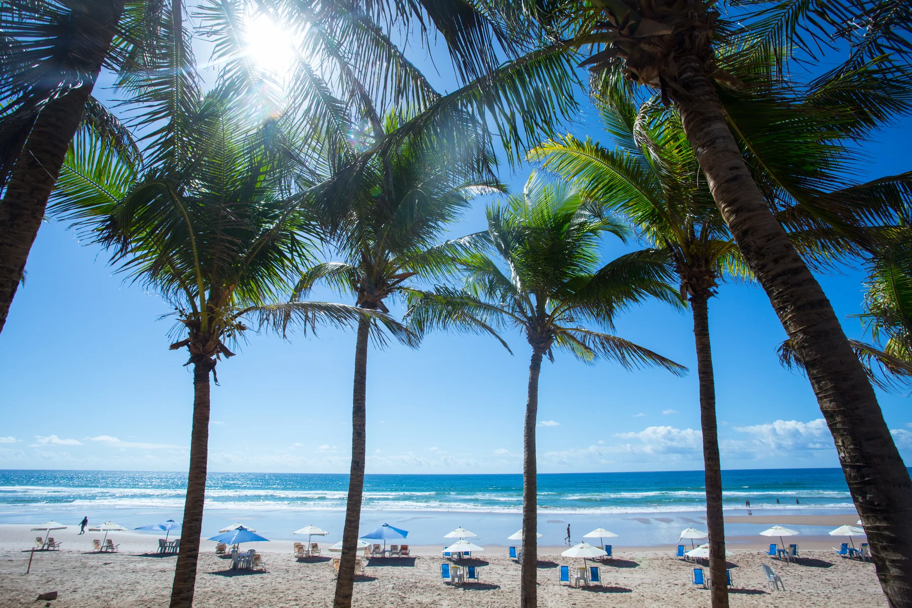 Faixa de areia da Praia do Flamengo em 2018